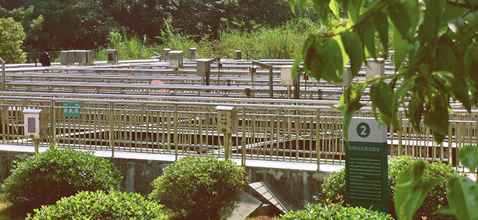 1660119072648316627.jpg 1660119072648316627.jpg